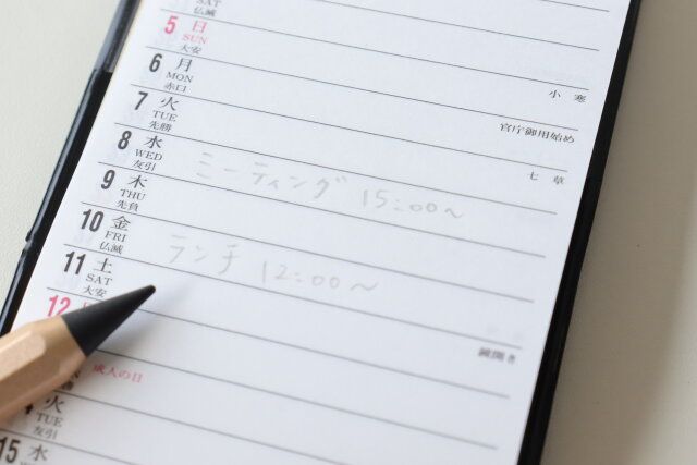 ダイソー ビジネスダイアリー 使用例