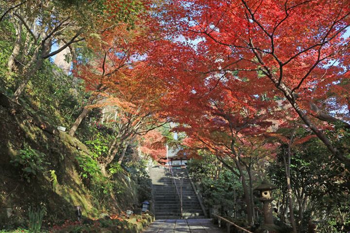 鎌倉の長谷エリアで紅葉さんぽ♪お地蔵様がほほえむ長谷寺と路地裏のカフェでくつろぐ秋の一日