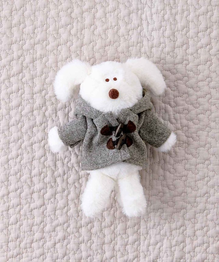 画像1: 出典：3COINS