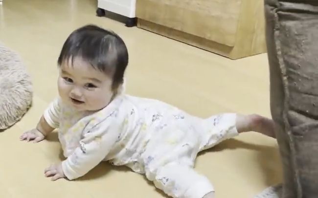 赤ちゃんがはいはいで接近中。わんこの反応がかわいすぎ