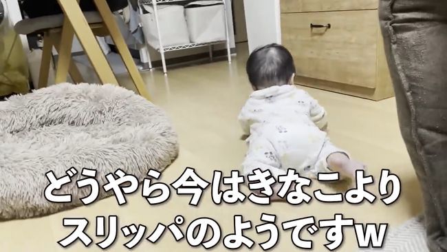 赤ちゃんがはいはいで接近中。わんこの反応がかわいすぎ