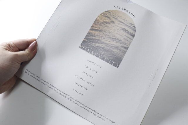 セリアのフェイクレコード グレースインテリアのスリーブの裏面