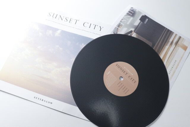 セリアのフェイクレコード グレースインテリア