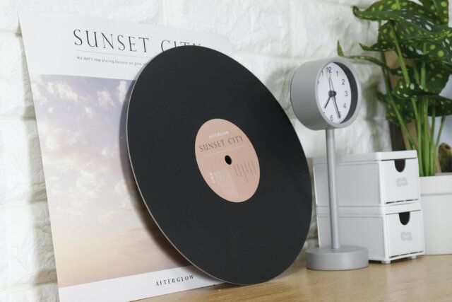セリアのフェイクレコード グレースインテリアのレイアウト例