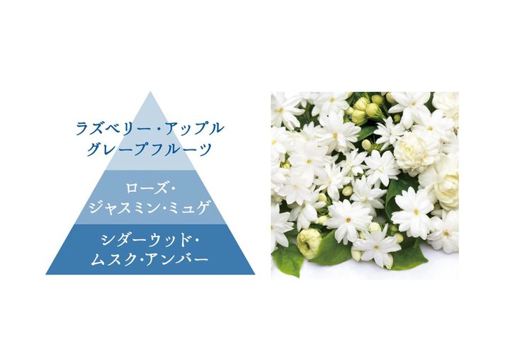 うっとり肌を仕込む♪ ダイアンボヌールから香りと潤いで満たされる美容液ボディミルクとハンドクリーム誕生！