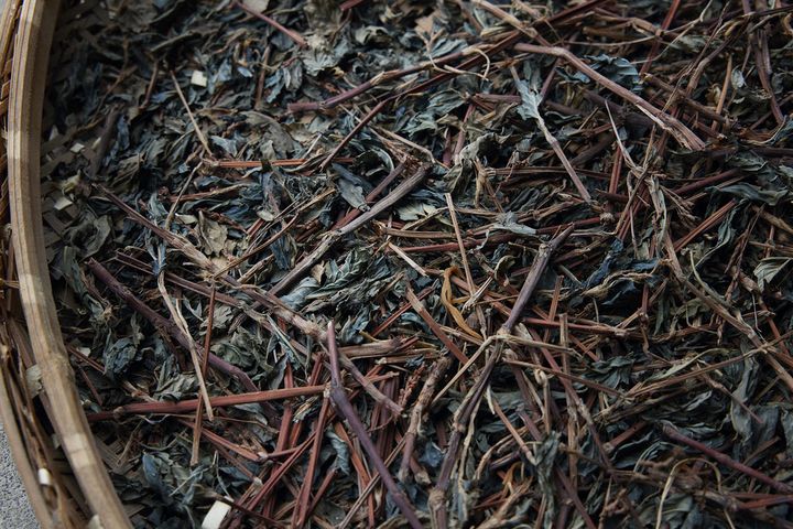 細かく刻んだ蓼藍の葉を筵にひろげて乾燥する様子