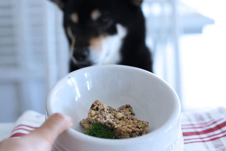 栗ときのこのテリーヌ風レシピ