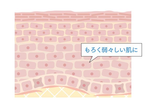 もろく弱々しい肌に