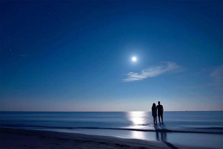 2024年11月の運勢（12星座別）