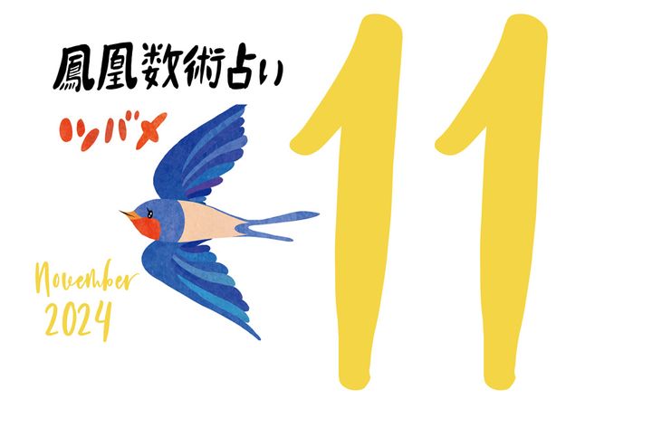 【今月の運勢】人気占い師・暮れの酉さんが観る2024年11月の運勢【鳳凰数術占い】