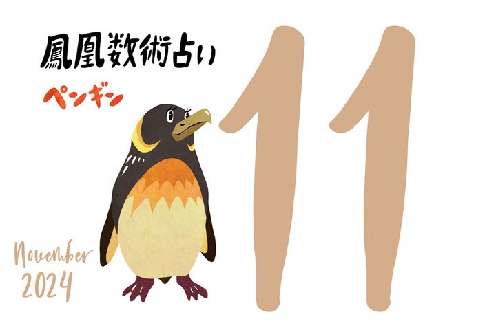 【今月の運勢】人気占い師・暮れの酉さんが観る2024年11月の運勢【鳳凰数術占い】