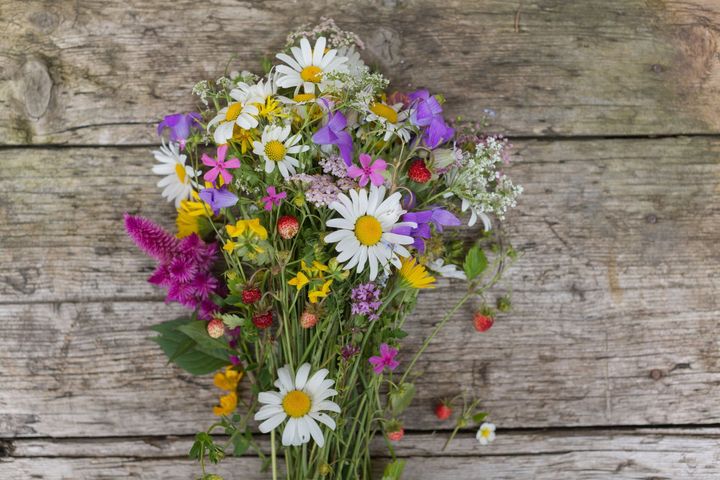 Field flowers on wooden surface