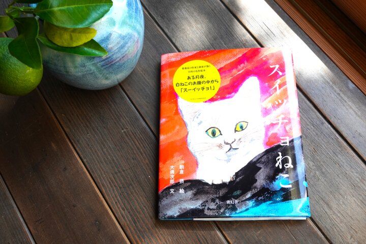 築100年超の鎌倉のお屋敷でのんびり過ごす癒しのひととき♪旧大佛次郎茶亭「カフェ大佛茶廊」