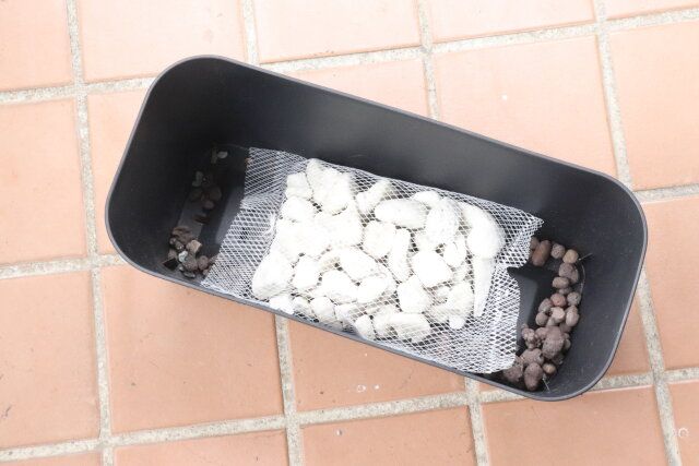 セリア フルーラプランターブラック 植え方