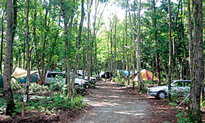 初心者キャンパーにおすすめ！秋冬に快適なキャンプ場15選【山梨県】