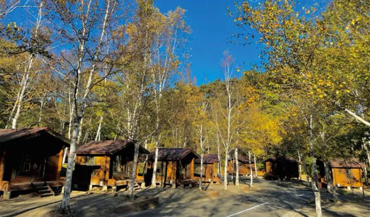 初心者キャンパーにおすすめ！秋冬に快適なキャンプ場15選【山梨県】