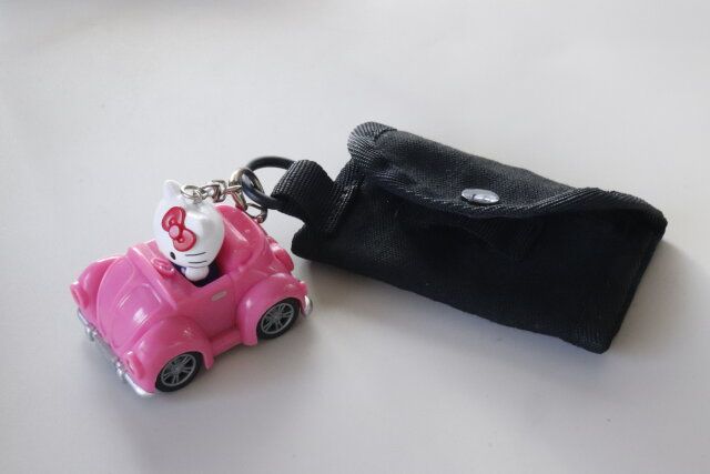 ダイソー 収納付きキーケース Dカン