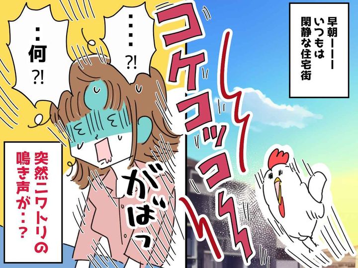 画像: ＜騒音＞毎日、夜明け前に「コケコッコー！」鶏の鳴き声を注意すると「我慢してください」と言われ困惑
