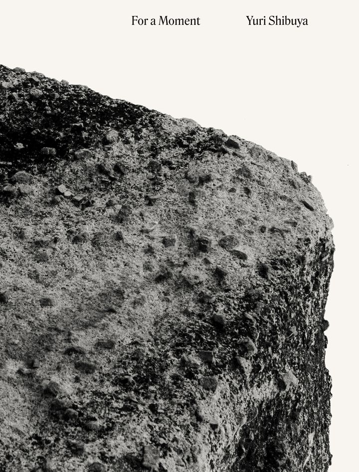 岩の形状、テクスチャーを切り取ったZINE