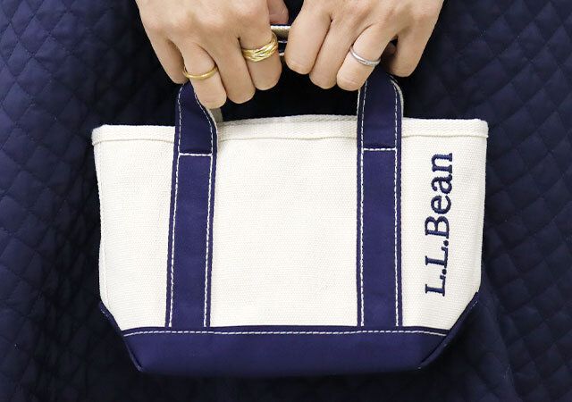宝島社InRed12月号付録のL.L.Beanのハンドル付きポーチ3