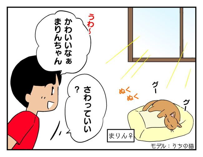 飼えなくなった猫を押し付けるママ友