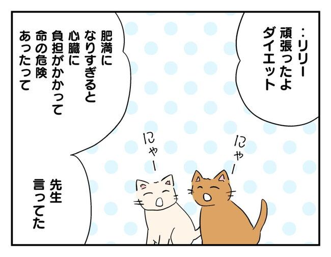 飼えなくなった猫を押し付けるママ友
