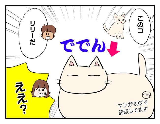 飼えなくなった猫を押し付けるママ友