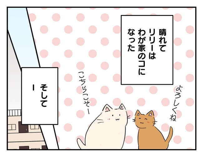 飼えなくなった猫を押し付けるママ友