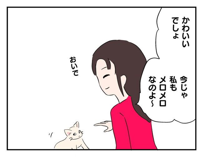 飼えなくなった猫を押し付けるママ友
