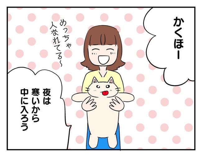 飼えなくなった猫を押し付けるママ友