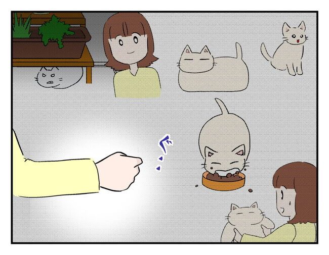 飼えなくなった猫を押し付けるママ友