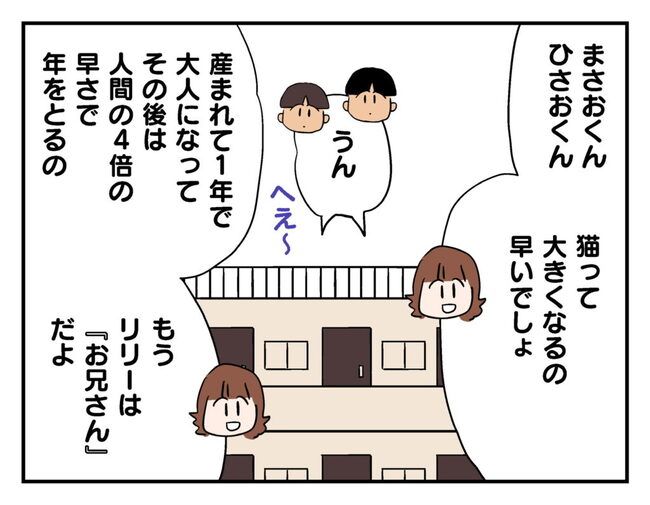 飼えなくなった猫を押し付けるママ友