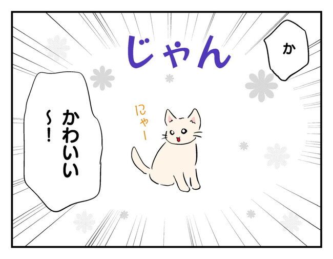 飼えなくなった猫を押し付けるママ友