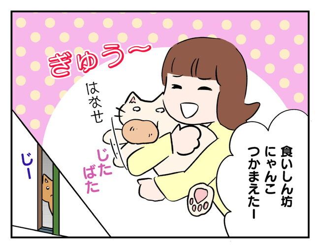 飼えなくなった猫を押し付けるママ友