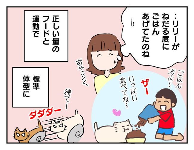 飼えなくなった猫を押し付けるママ友