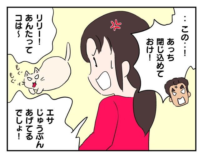 飼えなくなった猫を押し付けるママ友