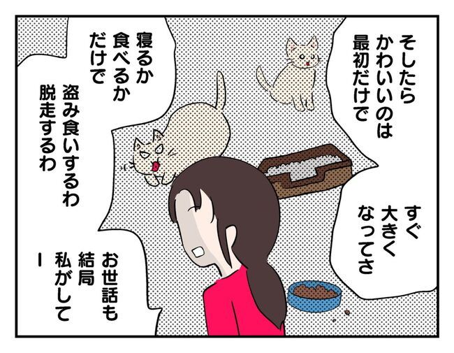 飼えなくなった猫を押し付けるママ友