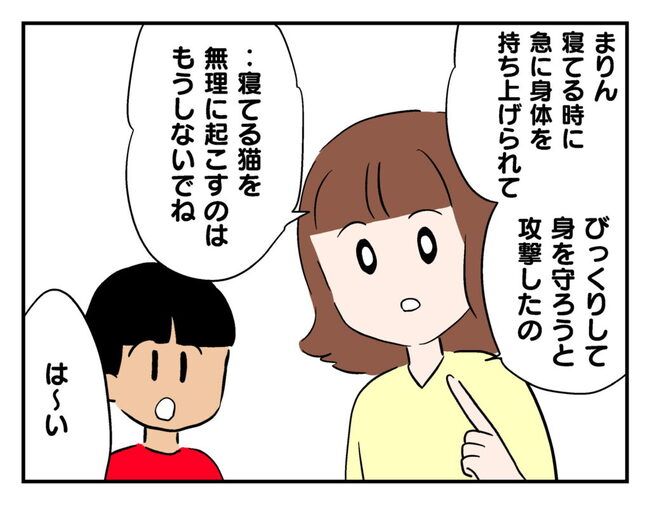 飼えなくなった猫を押し付けるママ友