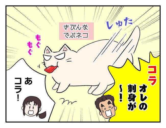 飼えなくなった猫を押し付けるママ友