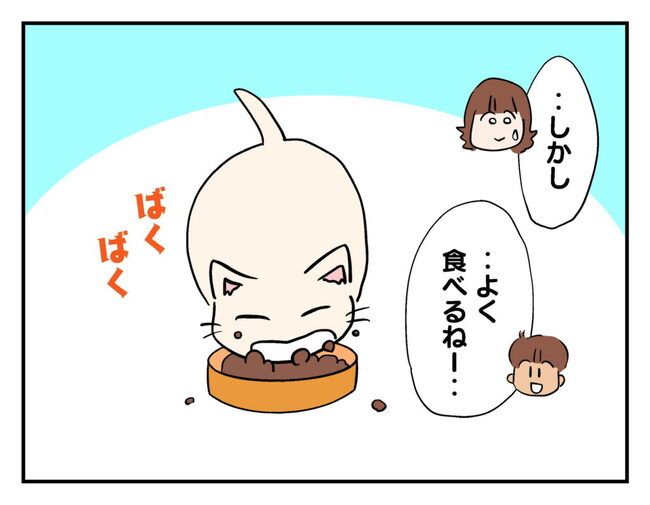 飼えなくなった猫を押し付けるママ友