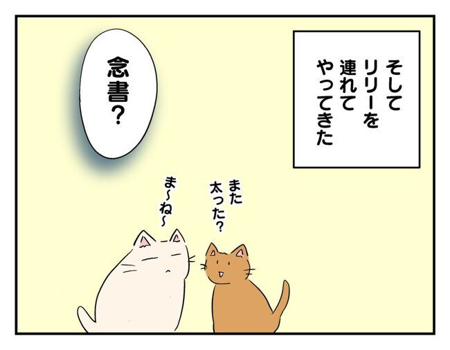 飼えなくなった猫を押し付けるママ友