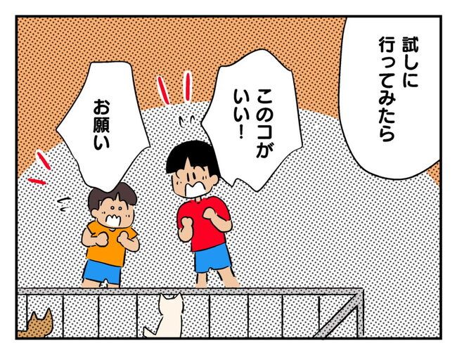 飼えなくなった猫を押し付けるママ友