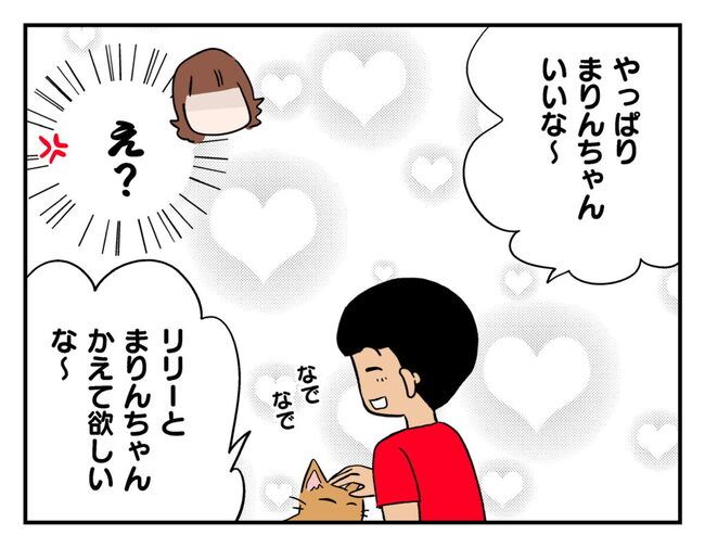 飼えなくなった猫を押し付けるママ友