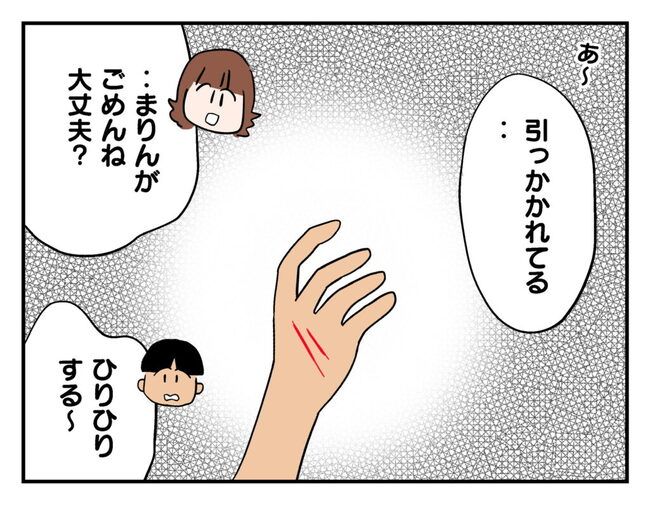 飼えなくなった猫を押し付けるママ友