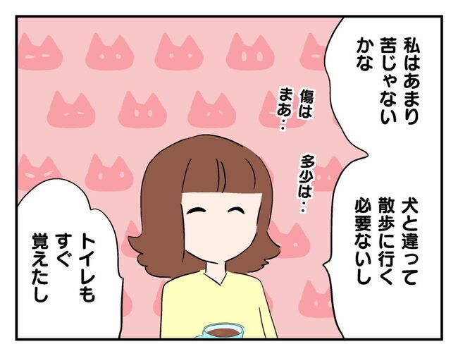 飼えなくなった猫を押し付けるママ友