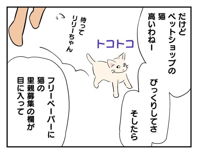 飼えなくなった猫を押し付けるママ友