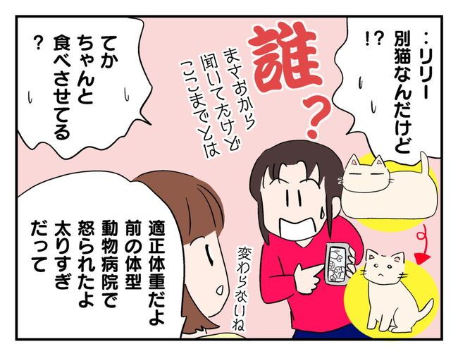 飼えなくなった猫を押し付けるママ友