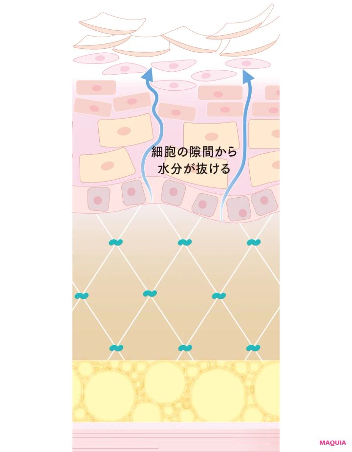 肌の「乾燥」に悩むあなたに！ 打つべき対策から、効くコスメまで徹底フォーカス_4