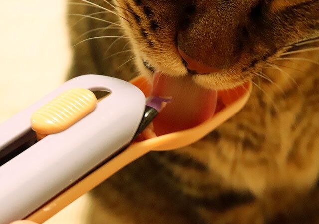 スリコ 大き目サイズ スプーン