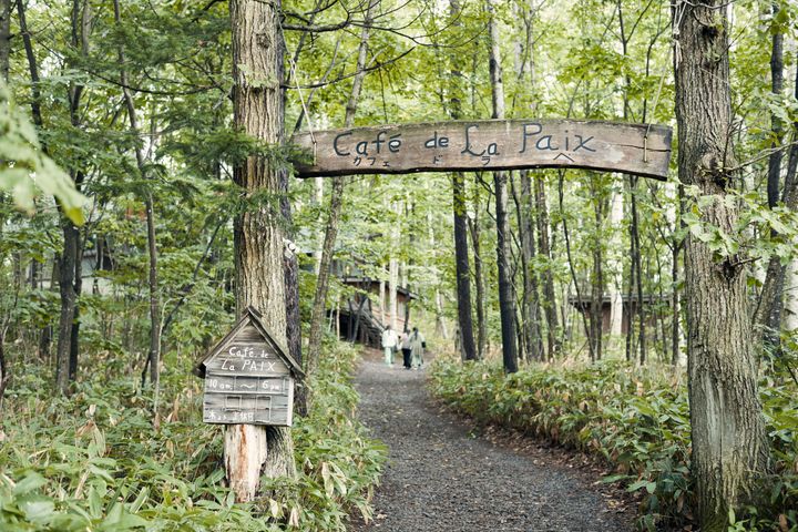 大自然が私を解きほぐす 週末デトックスジャーナル